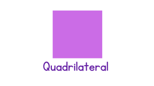 Types of Polygon - Quadrilateral