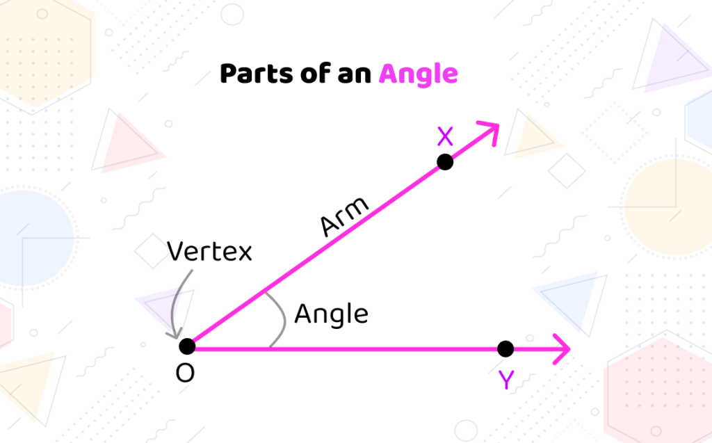 Parts of an Angle