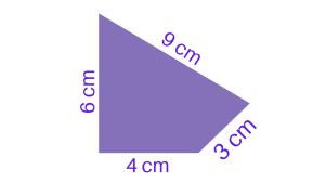 Perimeter of Polygon - Irregular Polygon Example
