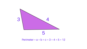 Perimeter of Triangle - Scalene Triangle