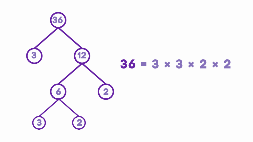 Prime Factorization of 36 using tree diagram