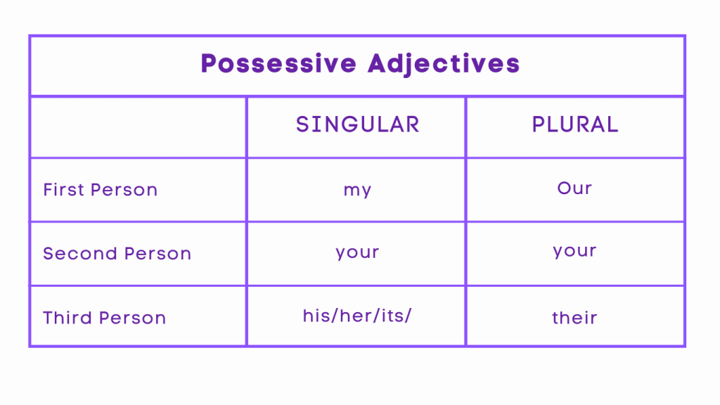 Types of Possessive Noun - Possessive Adjective 