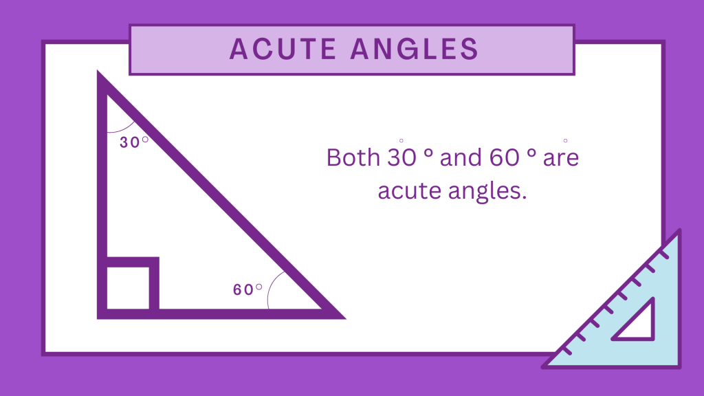 Acute Angles - Example 2