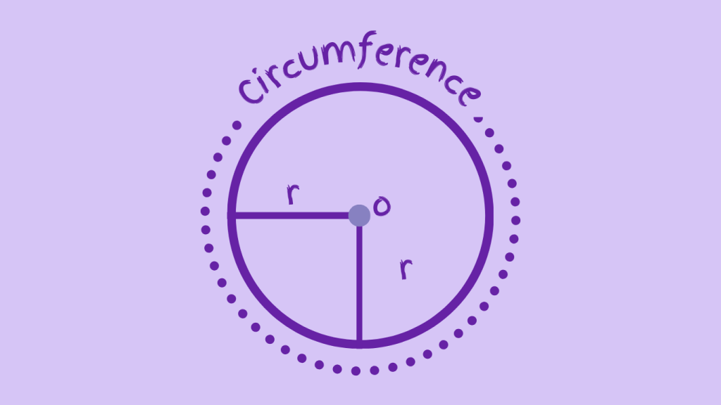 Circumference and Radius