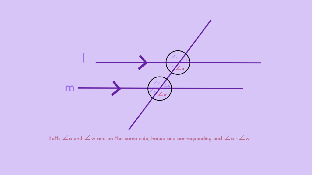 Identifying Corresponding Angle - Step 5