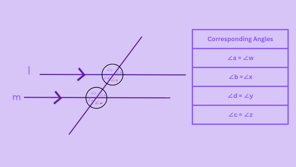 Identifying Corresponding Angles