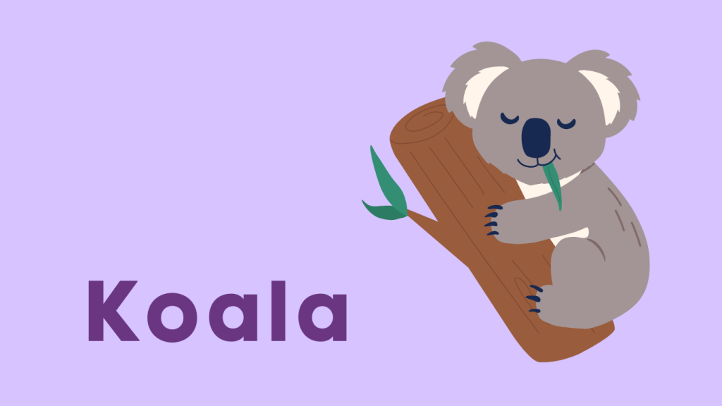 Animals - Koala