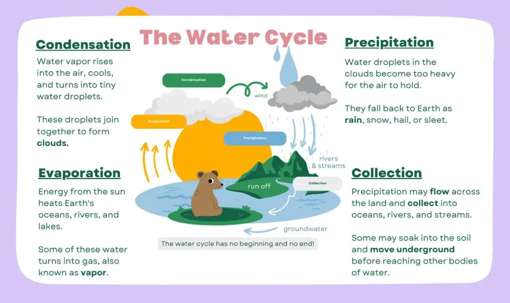 Water Cycle